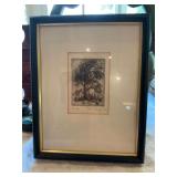 9 1/2 x 12” signed and numbered penciled tree by D. Douglas.