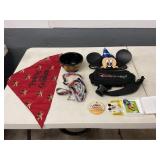 DISNEY MEMORIBILIA = GROUPING