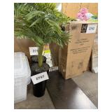Faux fern 40inH