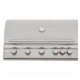 Blaze 5 burner grill