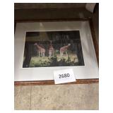 1-Signed Giraffee picture 24inx30in