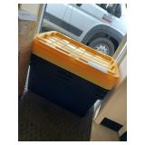 4 ct Yellow & black toes & lids 30inx20in