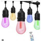 Westinghouse 48ft RGB string lights