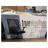 True wellness mesh chair