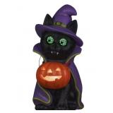 Pre-lit Witchy cat decor