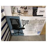 True wellness mesh chair