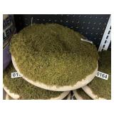 Threshold moss bowl