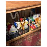 Contents Of Cabinet - Cleaners & Misc