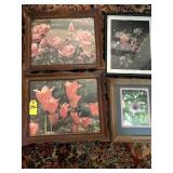 Framed Floral Photography & Print