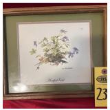 Water Color Illustration Of Birdfoot Violet By