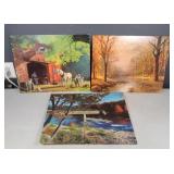 Group of Assorted Pictures 20'×16'
