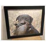 Framed Hunting Dog Photo 23x19