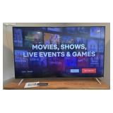 Vizio 65" TV - Works