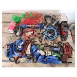 Ratchet Straps - Rope - Bungee Straps