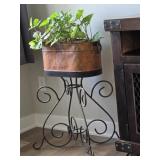 Plant & Stand 22" H