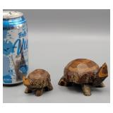 Wood Turtles