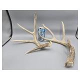 Deer Rack