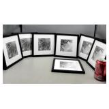 Framed 9" ï¿½ 9" Flower Pics
