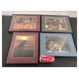 Wolf Picture Lot 11.5"x14.5"