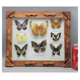 Framed Hanging Butterfly Display 11.5" ï¿½ 13.5"