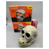 Skull Ceramic Candle Holders