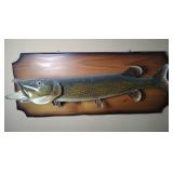 Northern Pike Fish Mount 32"