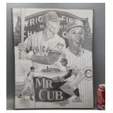 WrigleyField/Chicago Cubs Laminated Sketch 16.5"