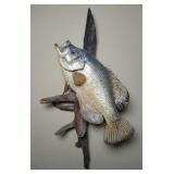 Crappie Fish Mount 15" Fish
