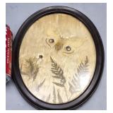 Framed Butterfly 8"ï¿½10"