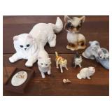 Flat of Kitty Cats Flat of Kitty Cats