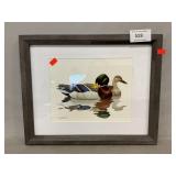 Richard Sloan ï¿½Mallardï¿½ Duck Print
