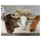 Decorative Cow Skull, Fur Pieces