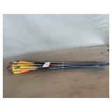 (12) Arrow Shafts