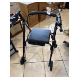 Lifestyle Walker/Seat