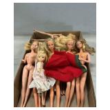 Collection Of Barbie, Fashion Dolls