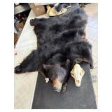 Bear Rug w/ Skull