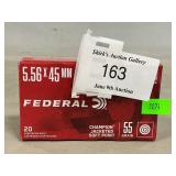 (20) Rounds Of 5.56 x 45mm Ammo