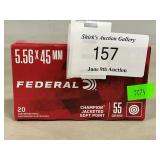 (20) Rounds Of 5.56 x 45mm Ammo