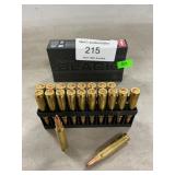 (20) Rounds Of 5.56 NATO Ammo