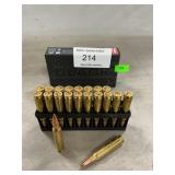 (20) Rounds Of 5.56 NATO Ammo
