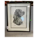 Irish Setter Pencil Portrait By Mike Sibley