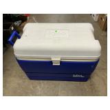 Igloo Cooler