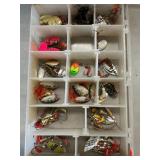 Case With Freshwater Fishing Lures
