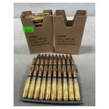 (60) Rounds Of 5.56mm Ammo
