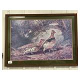 Ruffled Grouse Print