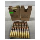 (60) Rounds Of 5.56mm Ammo