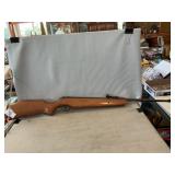 Ruger Air Hawk Pellet Rifle