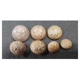 (7) Civil War Era General Officer Buttons