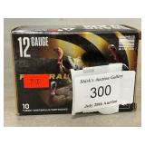 (10) 12 Gauge Shotgun Shells