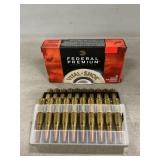 (20) Rounds Of .308 Win. Ammo